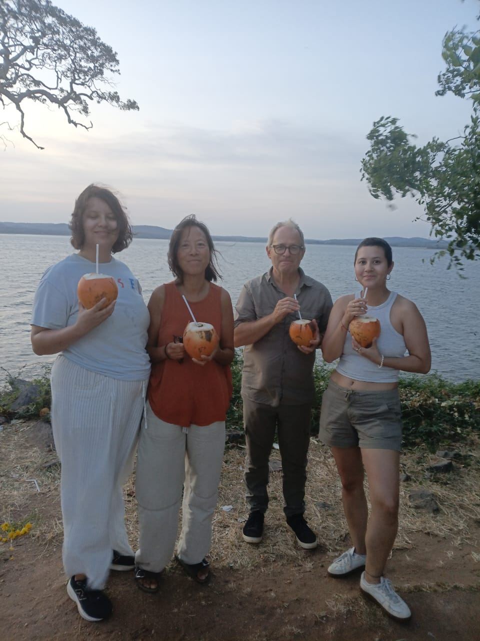 Four guests drinking king coconuts by the water at dusk
