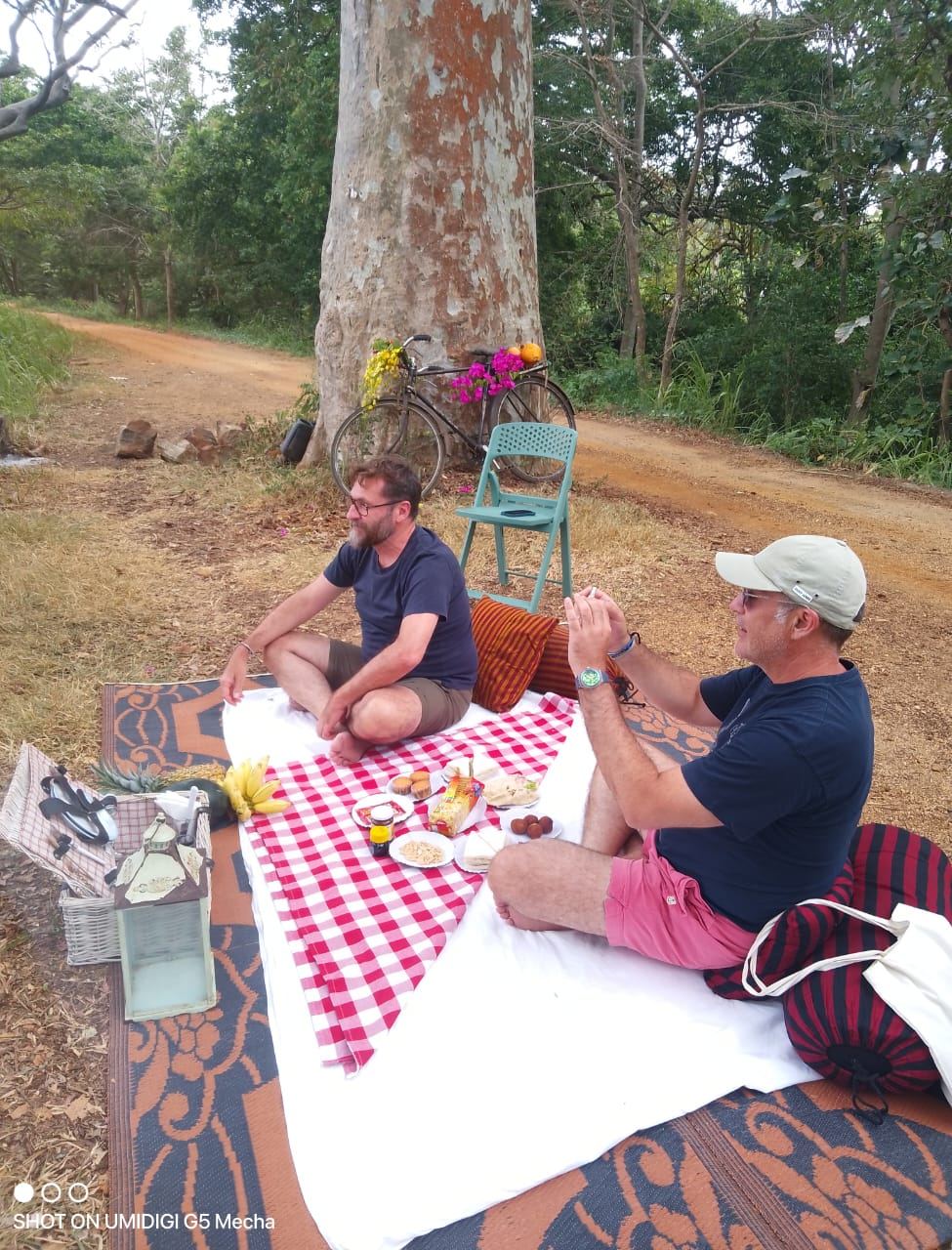 Two guests at a picnic on a checked blanket under a large tree