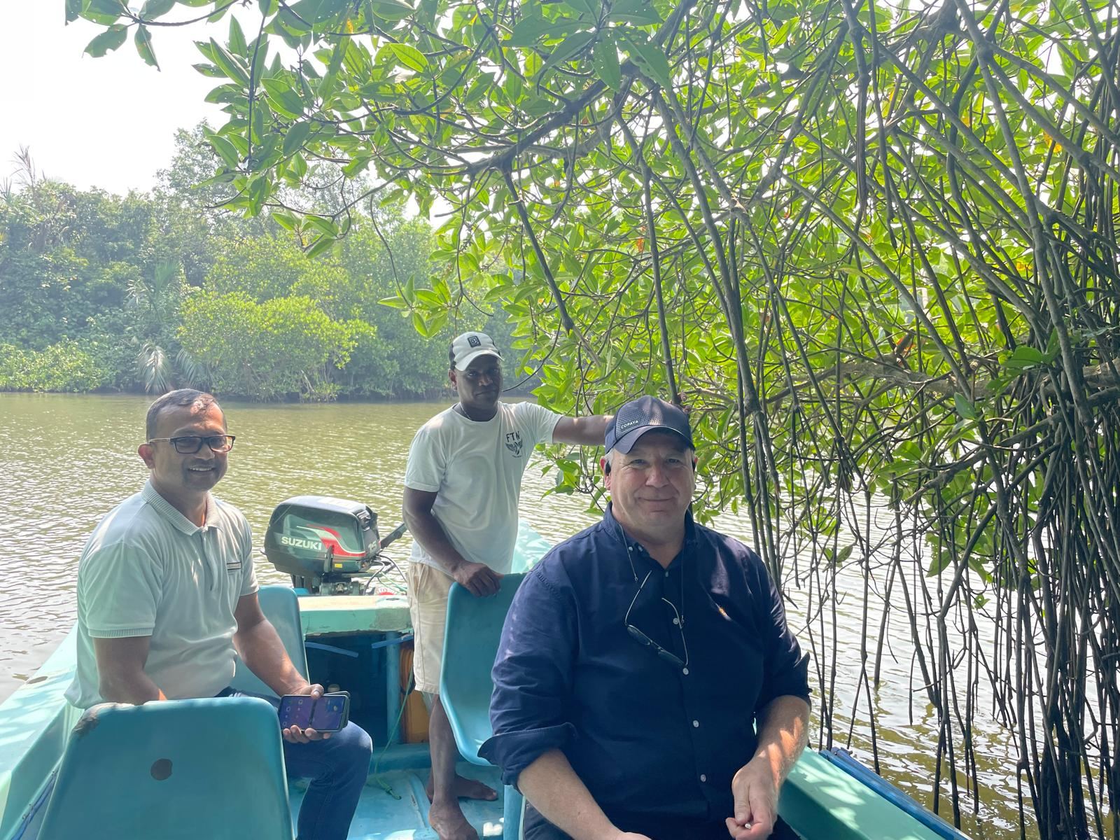 Guests on a small boat among mangroves on a river