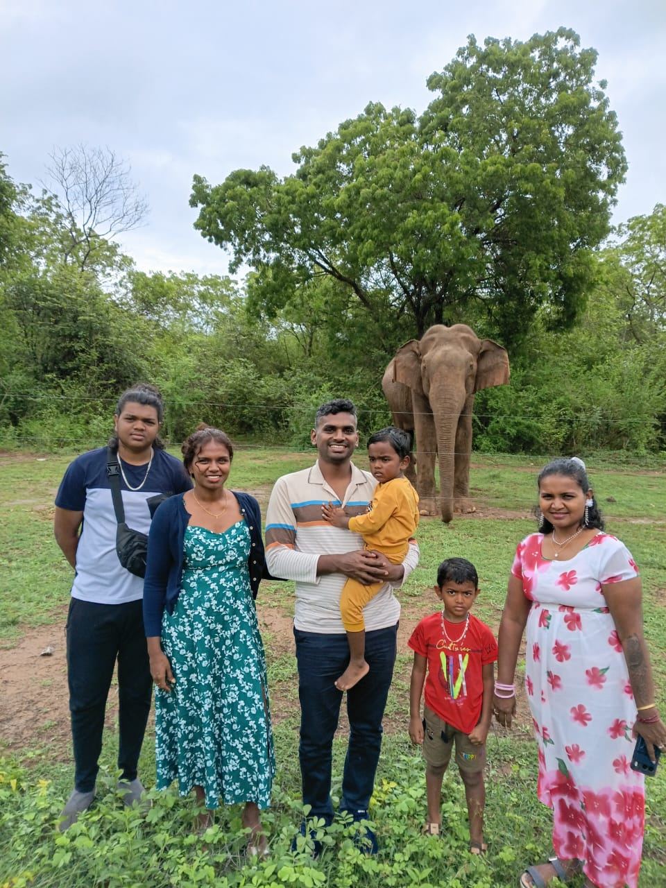 A family standing in a grassy clearing with an elephant behind them