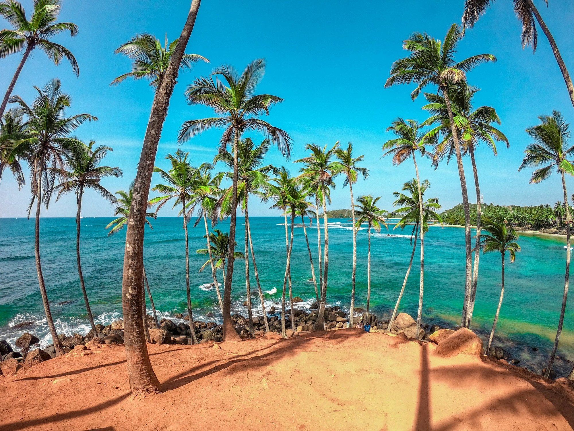 Palm trees on Coconut Tree Hill above the sea at Mirissa