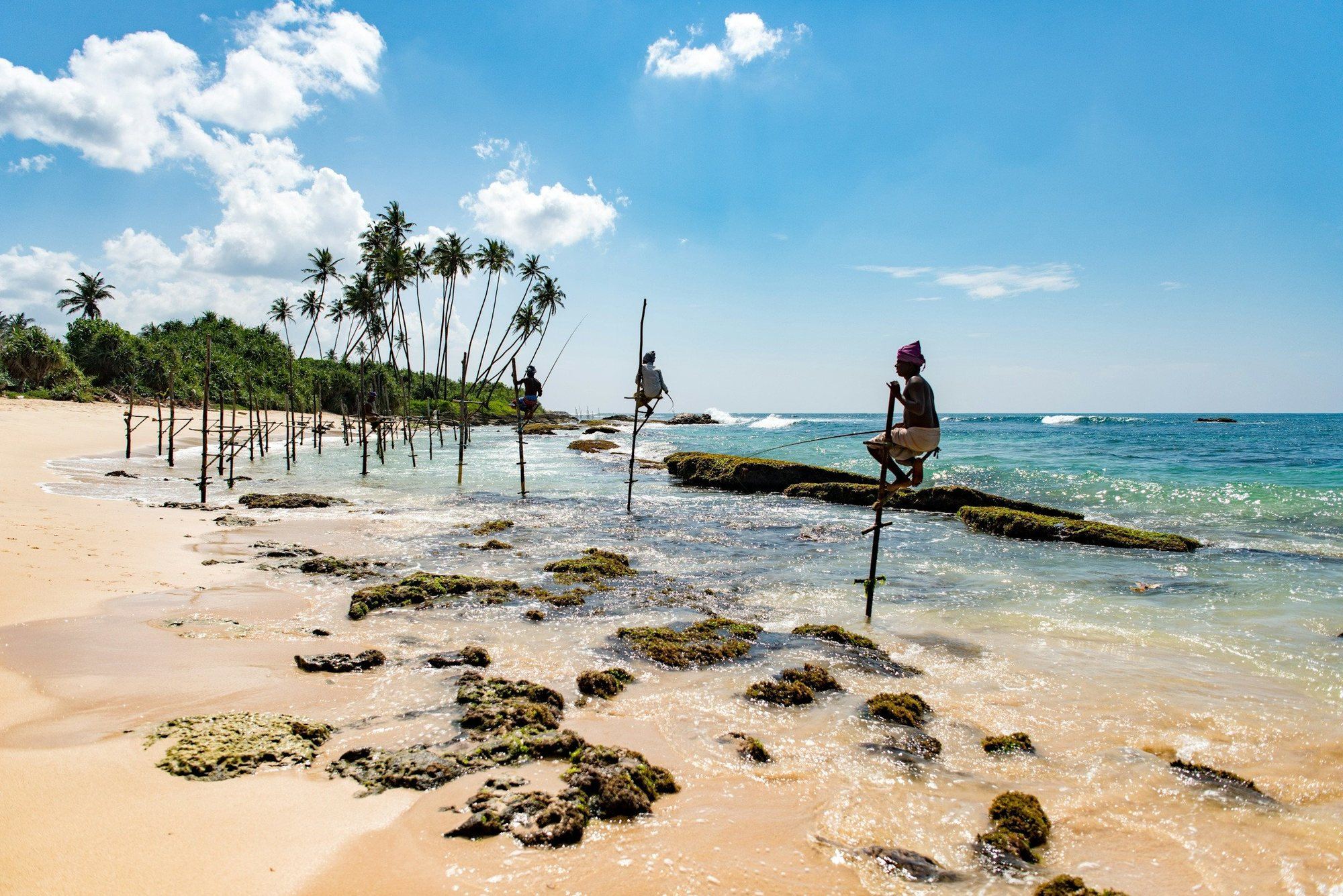 Stilt fishermen on wooden poles in the shallow sea