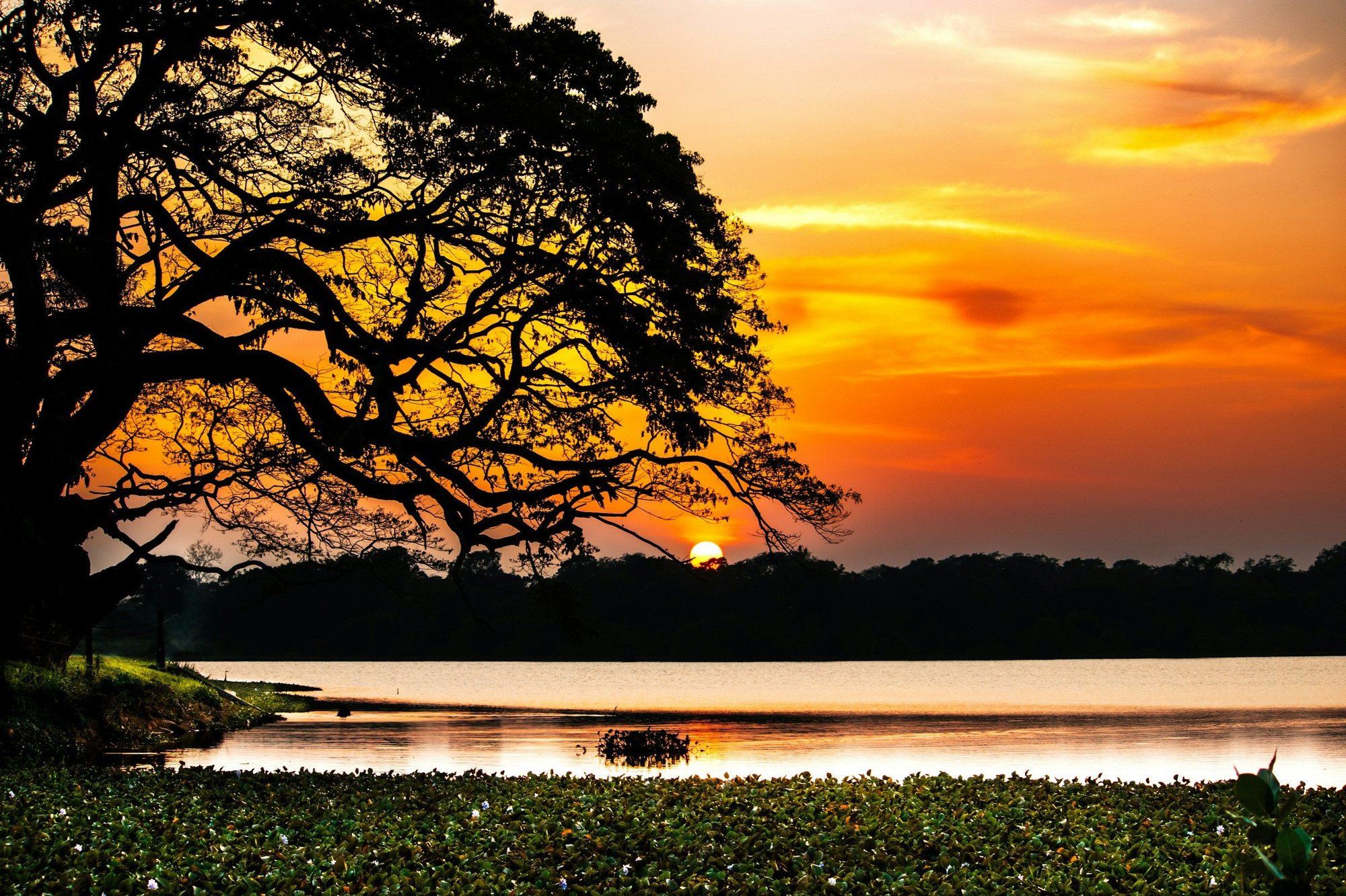 Sunset over a natural lake in Wilpattu National Park